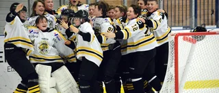 VH:s U14-lag femma i lilla SM