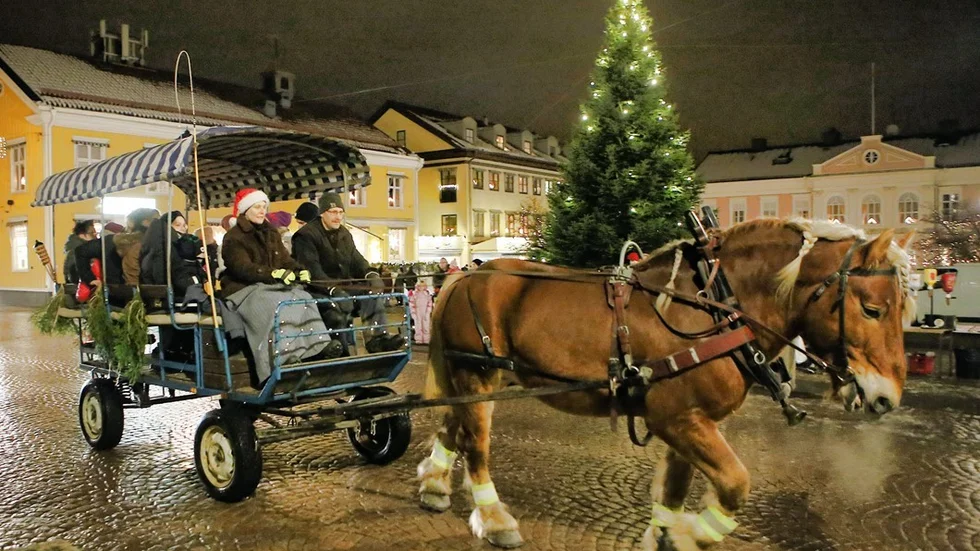 Annelie Svensson från Eriksgården körde häst och vagn hela kvällen. Foto: Roelof Stroetinga