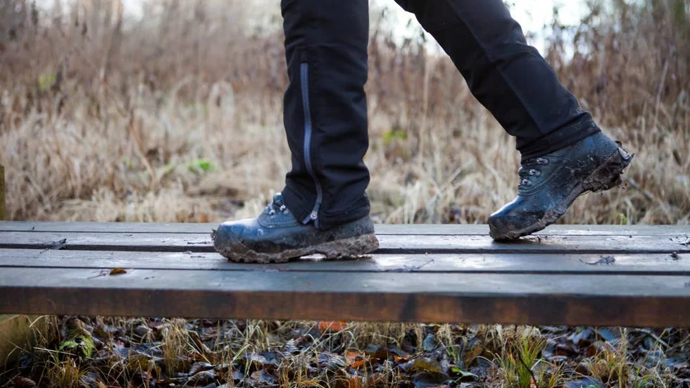 Länsstyrelsen förestår att ett nytt naturreservat bildas.