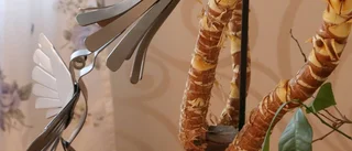 I den här familjen flödar idéerna