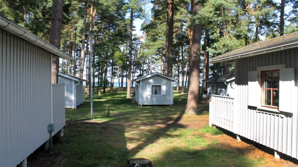 Varamons stugby. Ett område som istället, enligt planerna, ska bebyggas med en av Lalandia stugbyar. Varamons vänner undrar bland annat hur många tallar som behöver fällas.