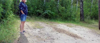 Badgäster bötfällda vid anvisat hundbad