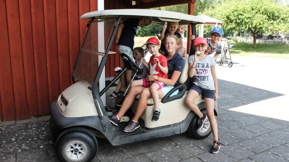 De åker golfbil för att titta på djuren på golfbanan.