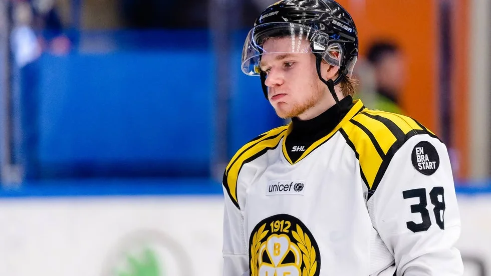 Adrian Elefalk, ny i VIK från SHL-klubben Brynäs IF.
