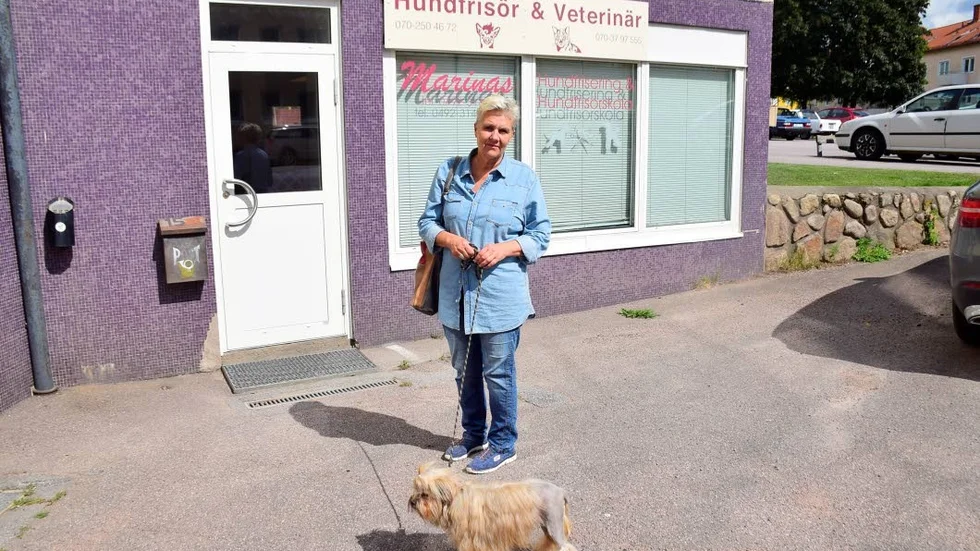 Sedan 15 år tillbaka håller Marina utbildning inom hundfrisering. Deltagarna kommer från hela Sverige och Norden.