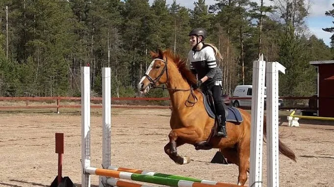 Tar oxern. Majken Karlsson på Cayenne hoppar över oxern.