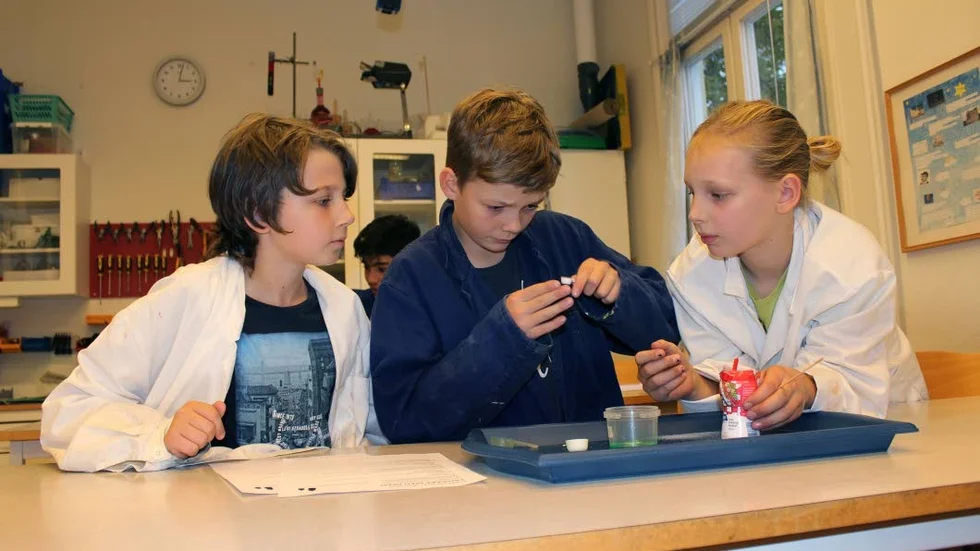 Experimenterar. Ian Vessby, Benjamin Strandberg och Herman Lidestam ser vad som händer när man blandar diskmedel och salt.