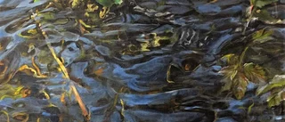 Mer än fotorealistiskt måleri