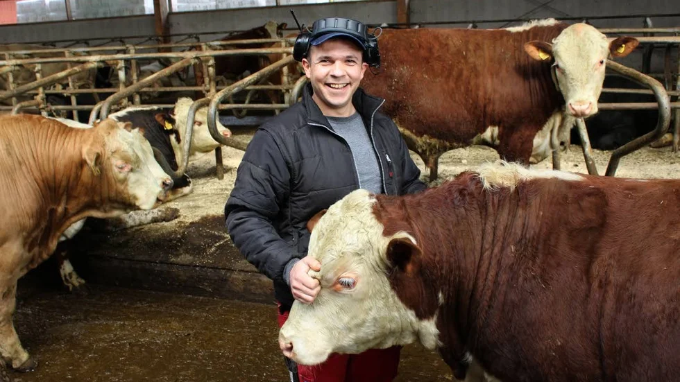 Bland tjurarna. Samer Alali med sin favorit bland tjurarna på Häckenstad. Han kallar honom Tusen.