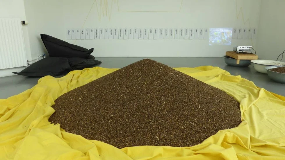Gunnel Pettersson: ”Odlingen”, Bovete, installation om bortglömd kulturväxt