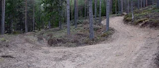 Enduroförare till sjukhus efter kollision med tall