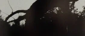 Formsäkert formulerade fragment