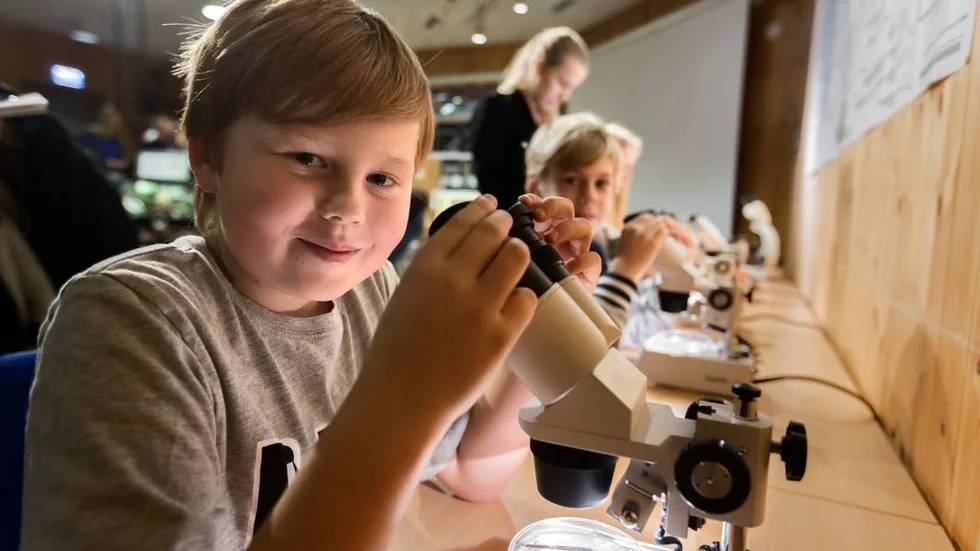 Hampus Fokesson, 8 år: Jag ska vara hemma och på fritids. Fritids är roligt på loven, då får vi gå till skogen. Imorgon ska jag gå "bus eller godis".