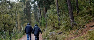 Så blir vädret i helgen