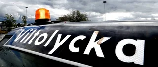 Tio viltolyckor i länet - på en timme