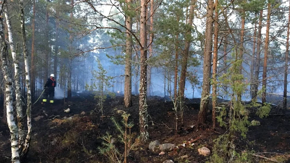 Sommarens många bränder ökar på statistiken. Men larmen och uttryckningaran har ökat under många år. Bilden är från sommarens brand vid Västrum.