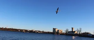 Såg du farkosten över Gamlebyviken?