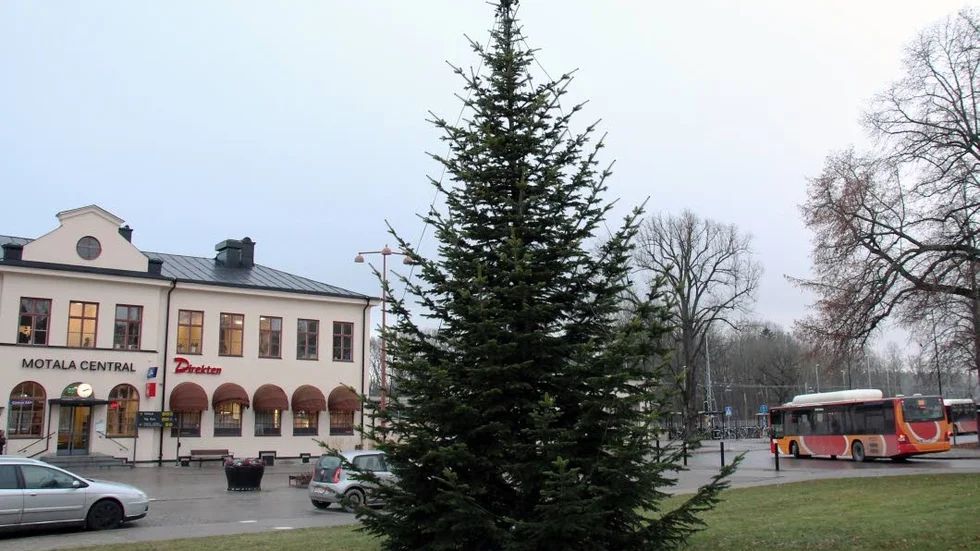 Klart. I Järnvägsparken finns en kungsgran uppsatt.