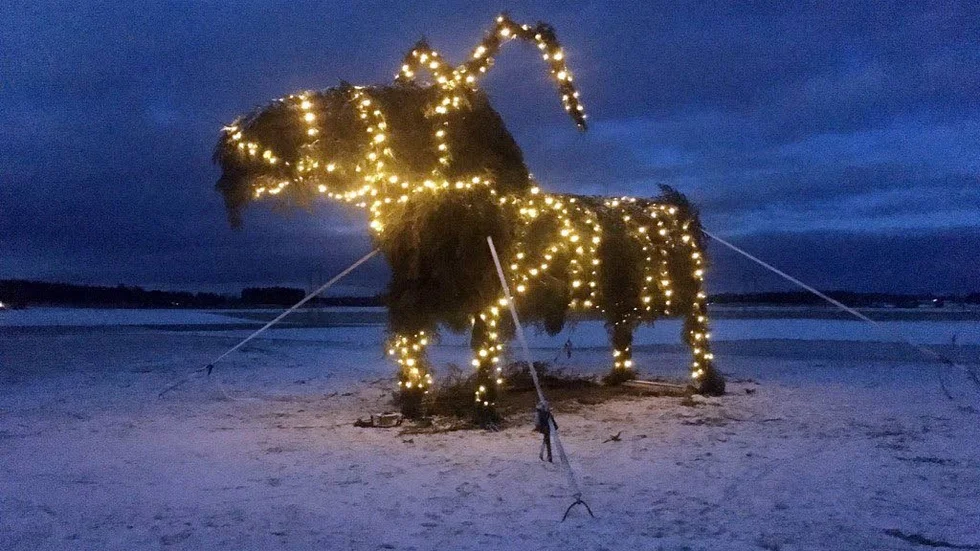 Skedevi julbock ska bli en årlig tradition.