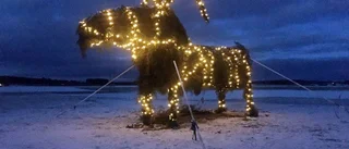 Skedevi julbock ska bli en tradition