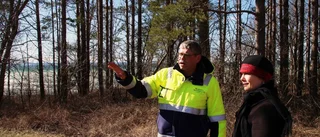 Här planeras för nya bostäder