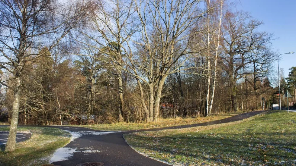 TOMTEN. Idag är det mest växtlighet i blickfånget där ett 30-tal bostäder skulle kunna byggas. Till vänster ligger Folkets parks parkering, till höger skymtar Varamovägen.
