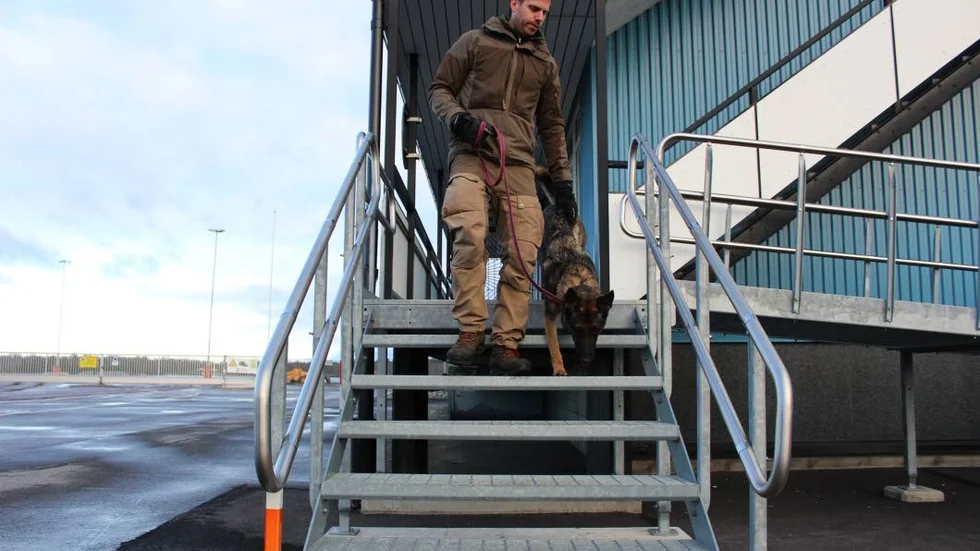 Att gå i gallertrappor kan vara läskigt men Magma har inga problem med det. När hon utforskar nya miljöer får hon uppmuntran av matte Rickard Åberg som hela tiden finns i närheten.