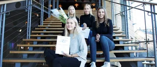 Föreläsare inspirerade UF-företagare