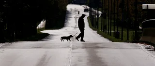 Elev hotade att döda elevs hund och skicka huvudet