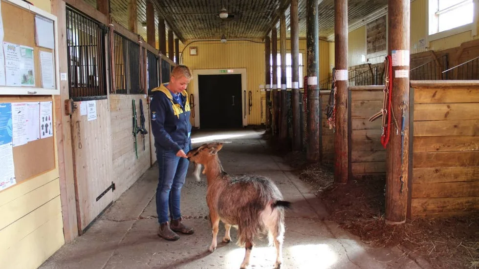 Malin Haller och geten Rasmus i det gamla stallet, som ska byggas om.