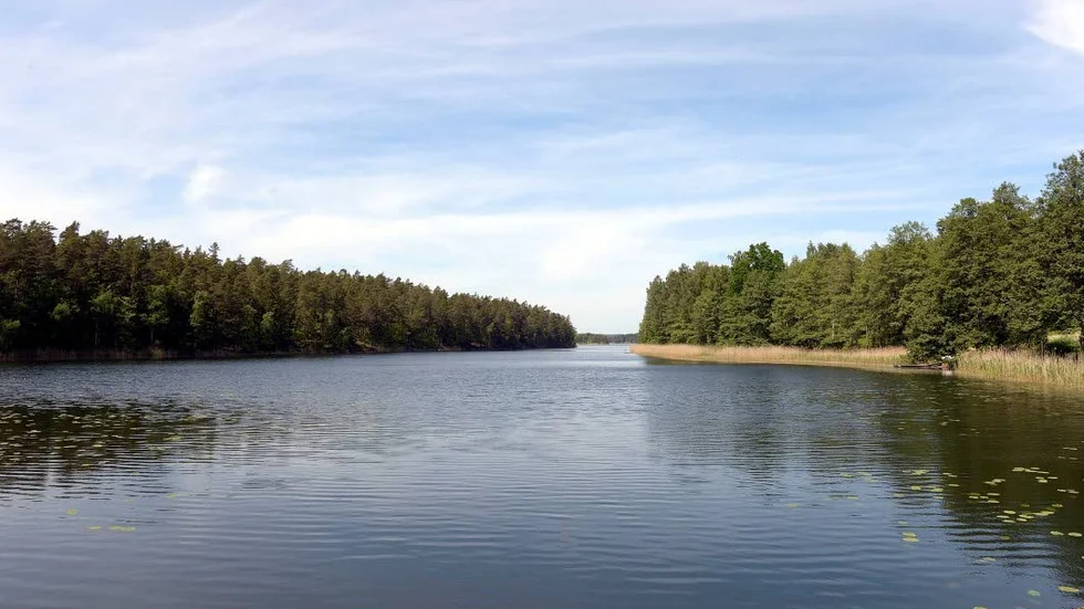 Något bevattningsförbud är inte aktuellt i nuläget.