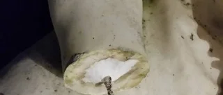 Var är Hagars hand?