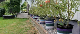 BILDSPECIAL: Konst och blommor i lekfull mix
