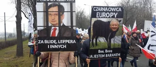 Demonstration i den polska krisen