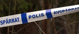 Fönsterkrossning i Målilla