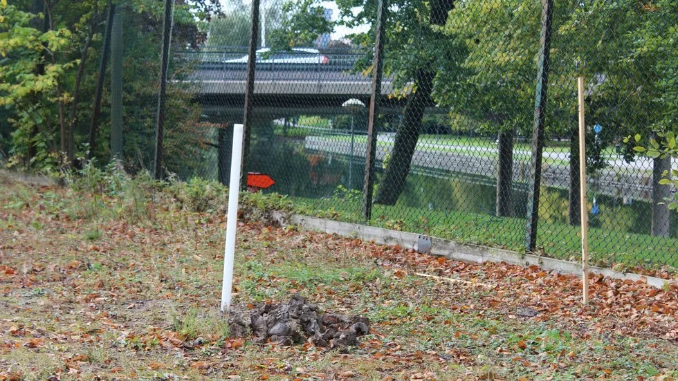 På brandmännen gamla fotbollsplan har en PFOS-halt på 180 mikrogram per kilo jord uppmätts. Gränsvärdet för parkmark ligger på 20 mikrogram,  för bostadsmark på 3.