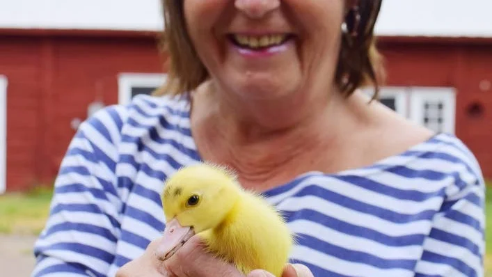 Margaretas tidigare fågelfobi har mildrats med hjälp av ankorna.