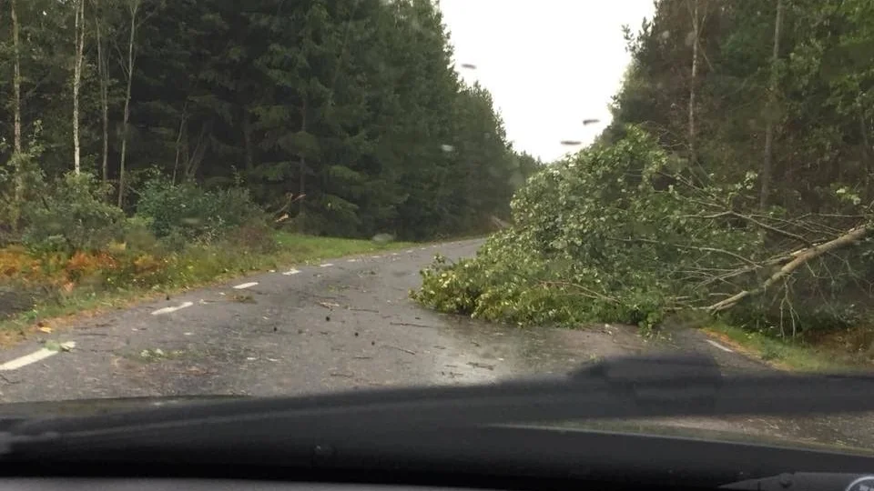 Utanför Nykil fångade en läsare ett nedfallet träd på bild.