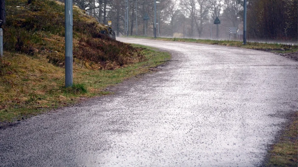 Många cykelolyckor där barn är inblandade i sker dåligt underhållna cykelbanor i landet. Foto: Anders Sjögren
