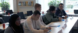 En utmaning för Stångåstaden – anställer 30 ungdomskonsulter