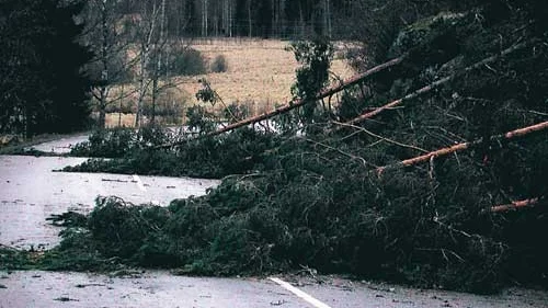 Vägen till Järnforsen var blockerad av nedfallna träd.