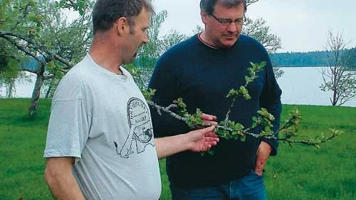 Jan Hermelin och Hans-Göran Saldner från Andrew Petersonsällskapet vid ett äppelträd i Rydsnäs. Intresset för äppelodling var en av de saker som Andrew Peterson hade gemensamt med Wilhelm Mobergs Karl-Oskar.