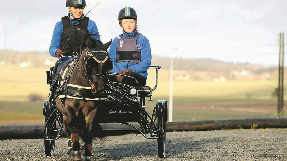 Hästen Carthorse Horner Dees med Elin Dahlström som kusk och groom Emelie Karlsson.