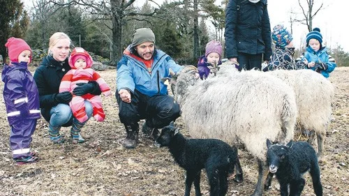 Erik och Caroline Sturup med barnen Isadora och Julia gillade att mata får och klappa lamm. Nova Fridsta till höger i bild.