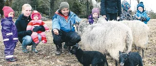 Skogsknyttar klappade lamm på gård