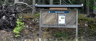 Sätra naturreservat bjuder på upplevelser