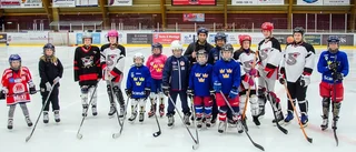 "Fler tjejer borde spela hockey"
