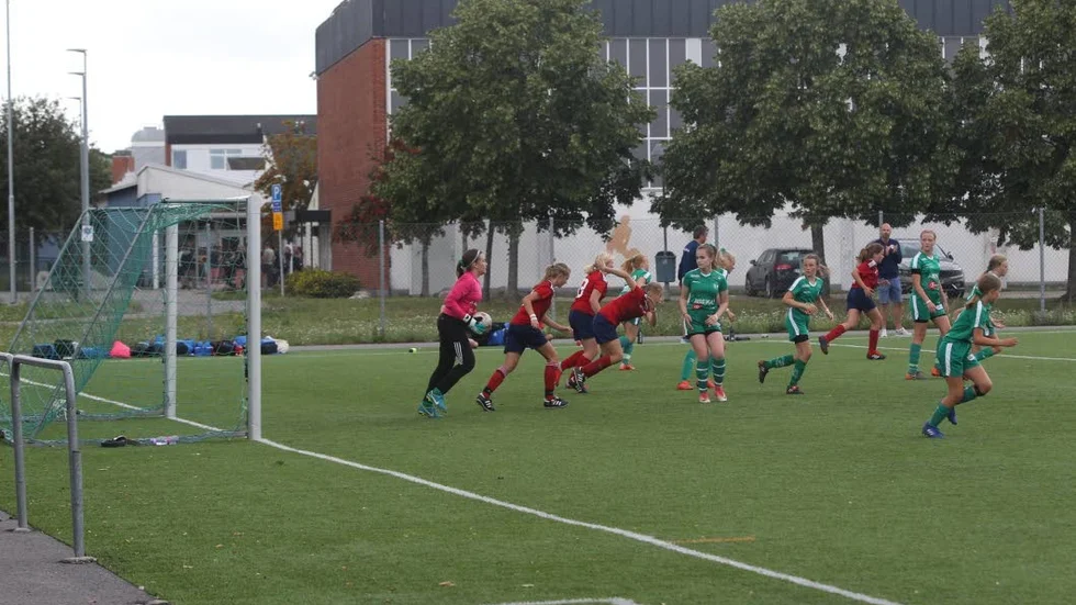 Över 60 lag spelade i årets turnering - alla bodde på Anders Ljungstedts gymnasium.