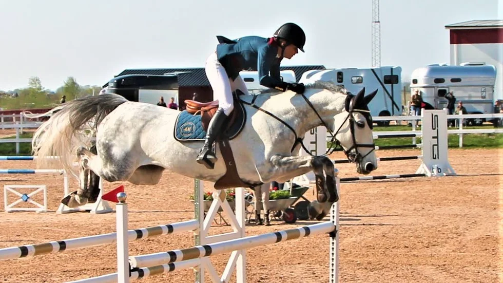 Världsstjärnan Malin Baryard Johnsson förgyllde Lilla Linköping Horse Show och visade upp Cuba VA i en 1,30-klass. Malins medverkan kan få de andra deltagarna att växa.