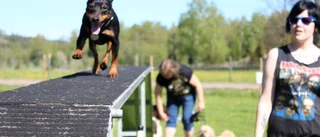 Ljus framtid trots styrelseproblem